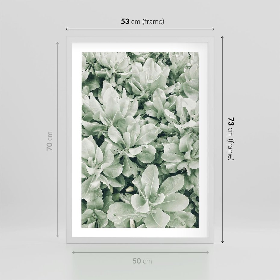 Plakat w ramie 50x70 - Liście w Jasnych Odcieniach Zielonego - liście, jasna zieleń fotografia - rama biała
