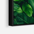 Obraz w ramie 50x50 - Palma Liście Kwiat - palma, liście - rama czarna
