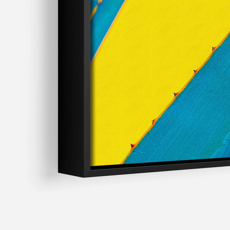 Obraz w ramie 70x50 - Świeżość Natury - aloes, liście - rama czarna