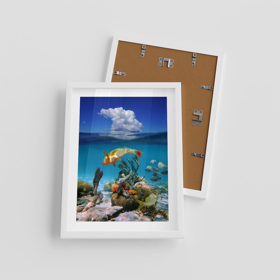 Plakat w ramie 30x40 - Podwodna rafa koralowa: kolorowy oceanowy świat - rafa, koralowa - rama biała