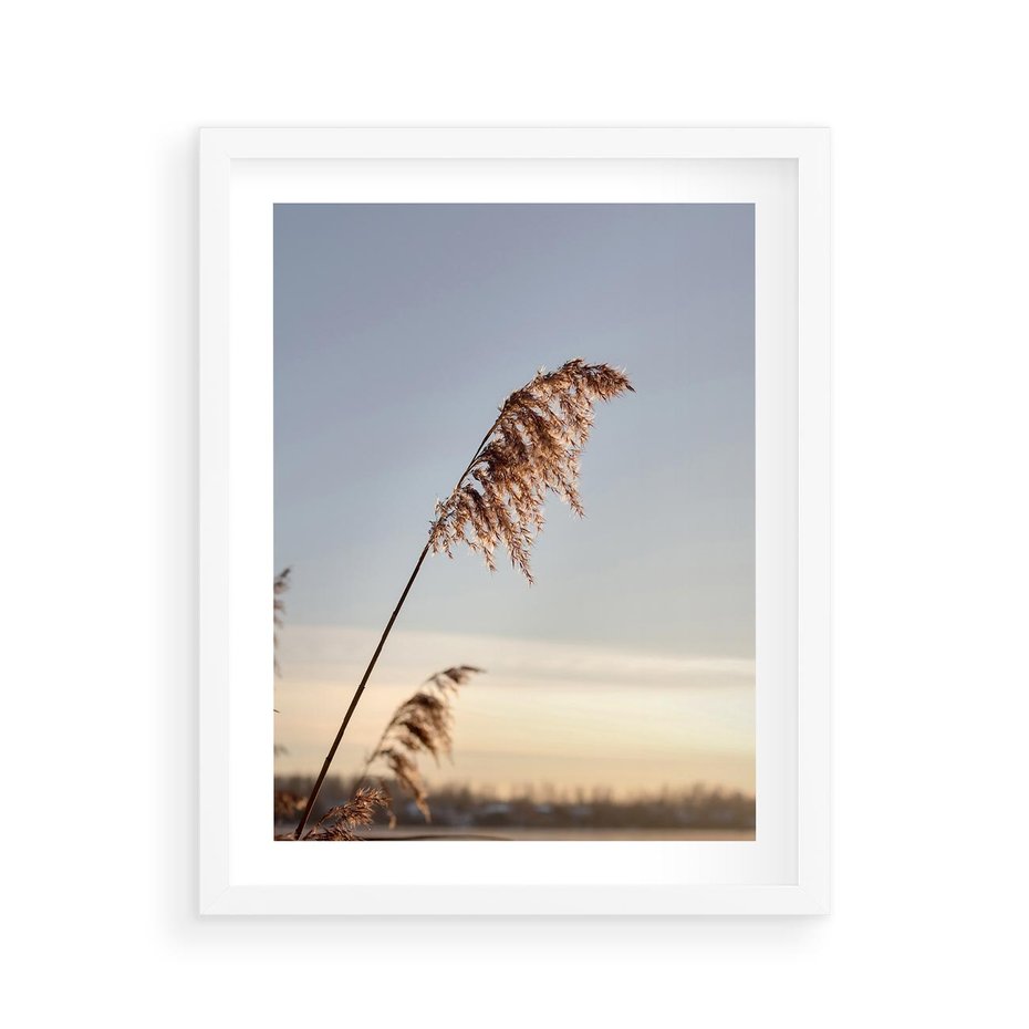 Plakat w ramie 40x50 - Naturalna Delikatność - trawy, boho - rama biała