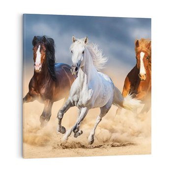 Obraz na płótnie 50x50 - Siła i elegancja - konie, galop