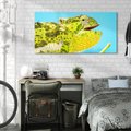 Obraz na płótnie 120x60 - Kameleon w swoim świecie - kameleon, jaszczurka