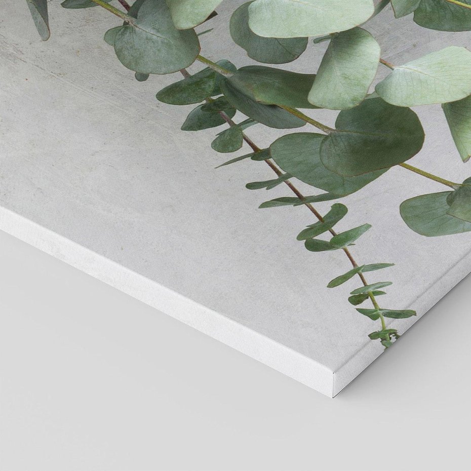 Obraz na płótnie 90x30 - Uwodzicielska zieleń eukaliptusa - eukaliptus, zielone