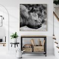 Obraz w ramie 50x50 - Potęga Afryki - czarno biała fotografia, zbliżenie na postać nosorożca - rama drewno