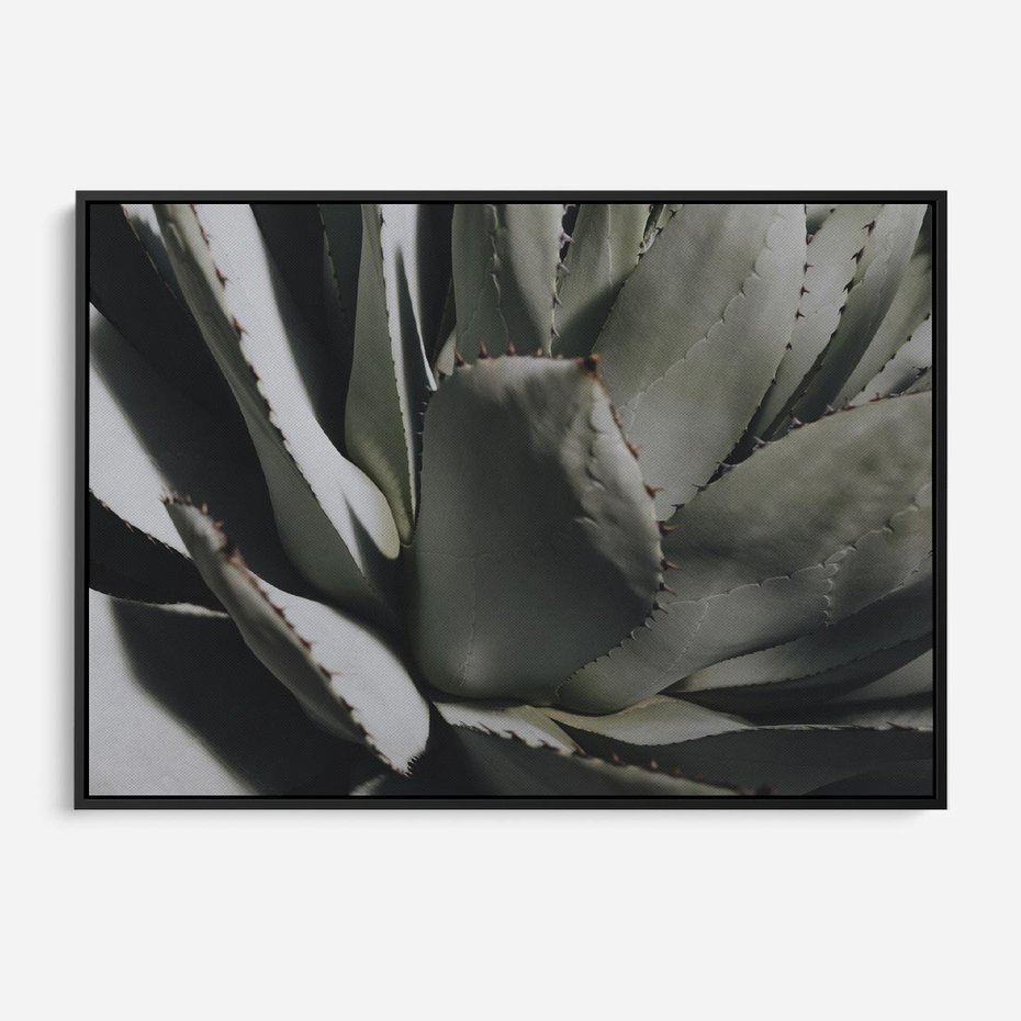 Obraz w ramie 100x70 - Sukulenty wśród kaktusów - sukulenty, kaktusy - rama czarna