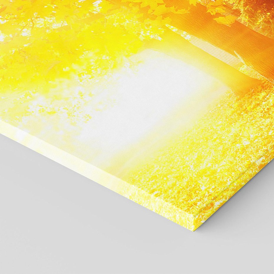 Obraz na płótnie 100x50 - Magia jesiennego lasu - las, drzewa