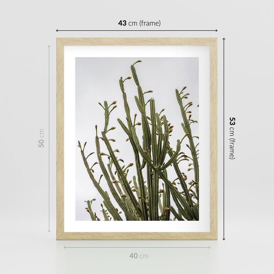 Plakat w ramie 40x50 - Ekskluzywna Roślinność - kaktusy, liście - rama drewno