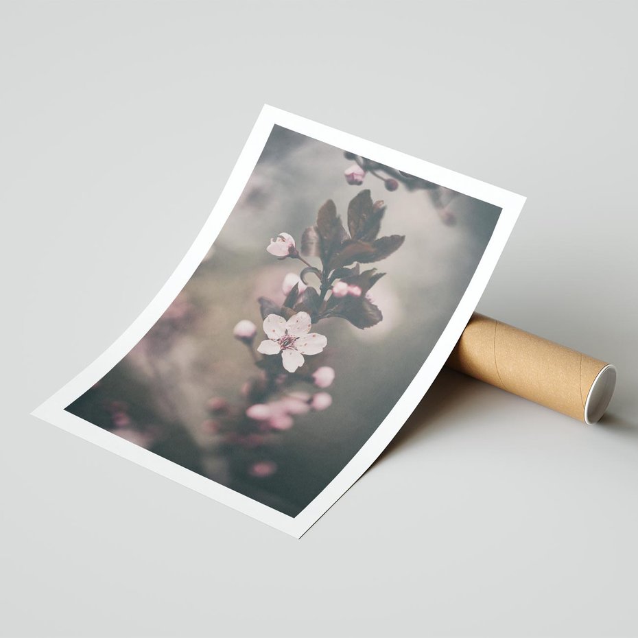 Plakat bez ramy 30x40 - Przemijający Urok - kwitnąca, wiśnia