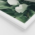 Zestaw obrazy w ramie 50x70 galeria - Liście, palma, monstera - rama biała