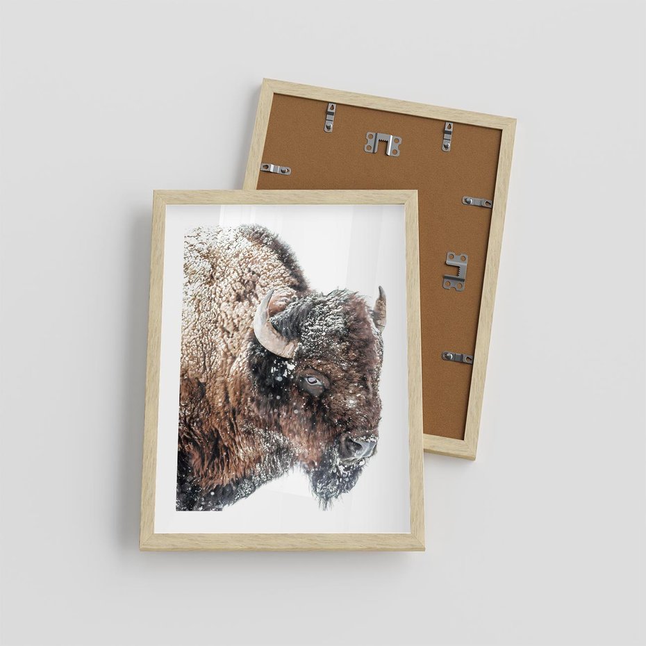 Plakat w ramie 30x40 - Obraz Dzikiej Przyrody w Śnieżnym Otoczeniu - żubr, śnieg - rama drewno