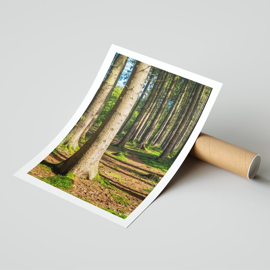 Plakat bez ramy 30x40 - Las: harmonia natury - las, drzewa