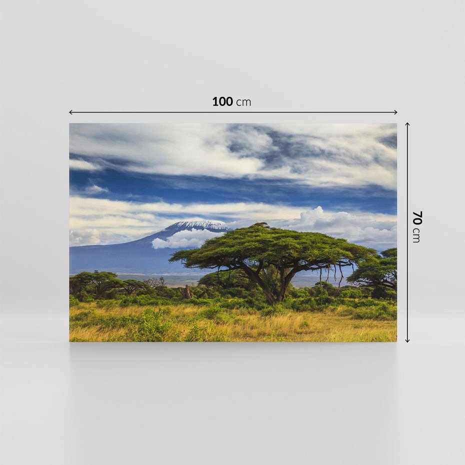 Obraz na płótnie 100x70 - Afrykańska magia - Afryka, Kenia