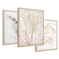 Zestaw obrazy w ramie 40x50 galeria - Suche, trawy, boho, styl - rama drewno