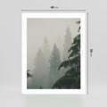Plakat bez ramy 40x50 - Mglista przemiana lasu - las, mgła