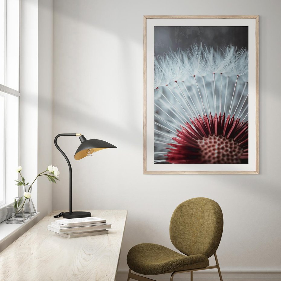 Plakat w ramie 40x50 - Dmuchawiec w Detalu - dmuchawiec, zdjęcie makro - rama drewno