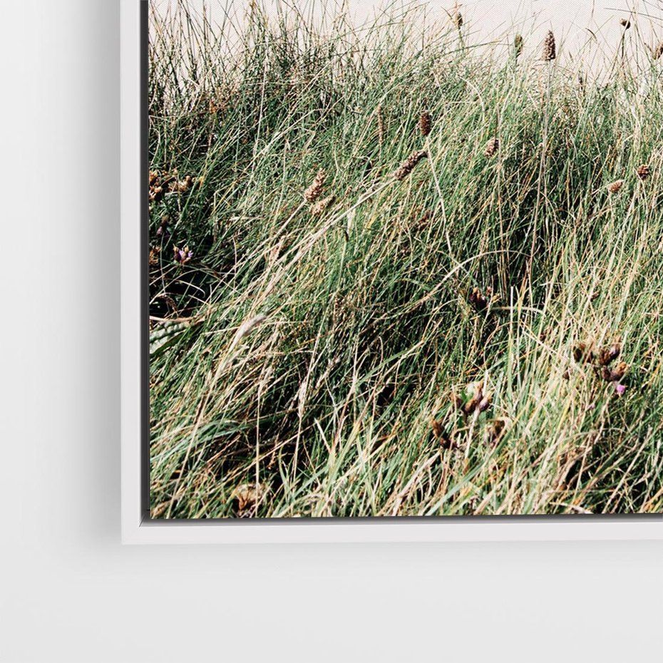 Obraz w ramie 50x50 - Harmonia Natury - widok z wydm, wydmy porośnięte trawami - rama biała