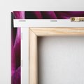 Obraz na płótnie 60x60 - piękno w delikatności - róża, kwiat
