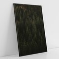 Obraz na płótnie 80x120 - Ciemny las iglasty - las, iglasty