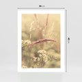 Plakat bez ramy 30x40 - Boho Wizja - suszone, trawy