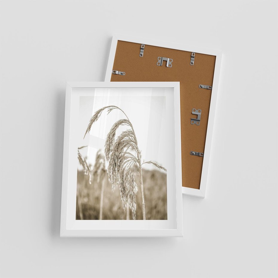 Plakat w ramie 30x40 - Ujęcie Suchych Traw - suche trawy, zbliżenie - rama biała