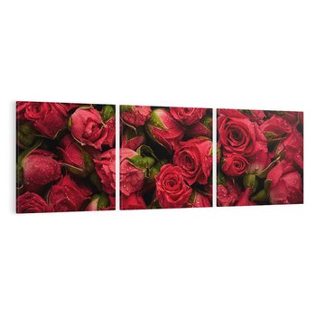 Obraz na płótnie 120x40 - Piękno róż: delikatność natury - róże, kwiaty