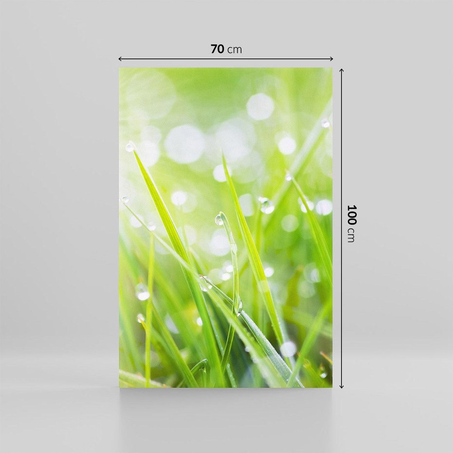Obraz na płótnie 70x100 - Delikatna trawa pokryta rosą - trawa, rosa