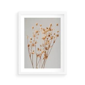 Plakat w ramie 50x70 - Delikatne gipsówki - gipsówka, suche - rama biała