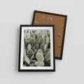 Plakat w ramie 30x40 - Kaktusowa Harmonia - kaktusy, fotografia - rama czarna