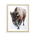 Plakat w ramie 40x50 - Zimowy Władca Puszczy - żubr, bizon - rama drewno