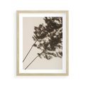Plakat w ramie 40x50 - Tajemniczy Cień Traw - cień traw, na ścianie - rama drewno