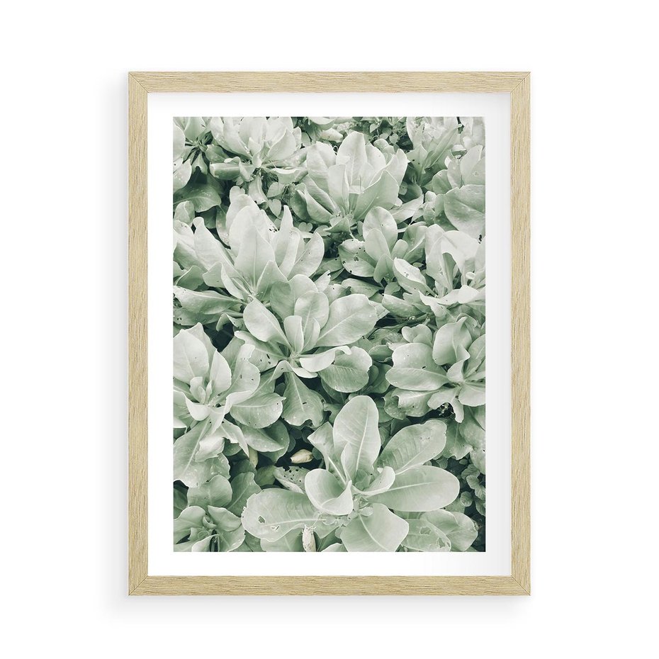 Plakat w ramie 50x70 - Liście w Jasnych Odcieniach Zielonego - liście, jasna zieleń fotografia - rama drewno