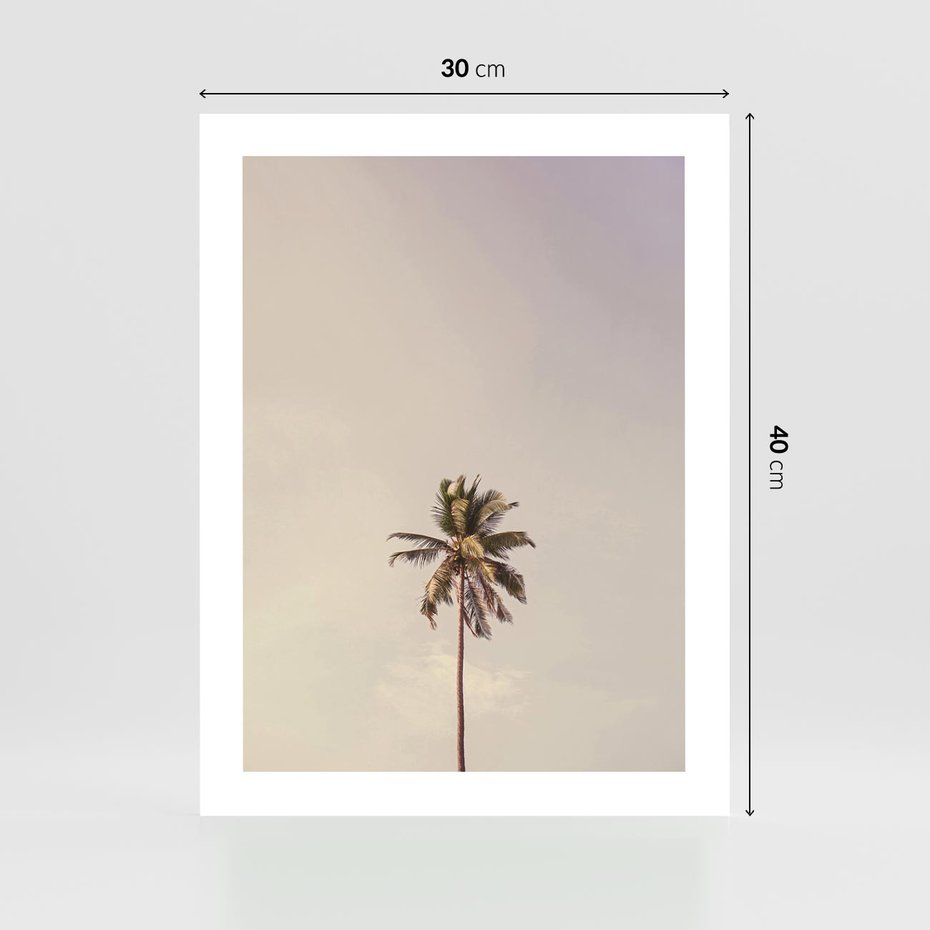Plakat bez ramy 30x40 - Samotna Palma pod Niebem - samotna palma, na tle nieba
