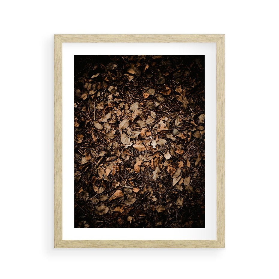 Plakat w ramie 40x50 - Brązowe Liście w Scenerii - suche liście jesień brąz - rama drewno