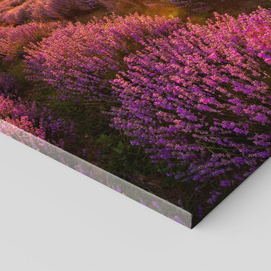 Obraz na płótnie 80x120 - Lawenda: Pachnące pole kwiatów - kwiaty, lawenda