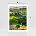 Plakat bez ramy 30x40 - Prowansja: malownicze winnice w kraju Włoch - Prowansja, Włochy
