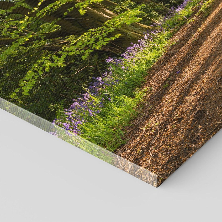 Obraz na płótnie 120x80 - Magia lasu: Drzewa w tajemniczej otoczce - las, drzewa