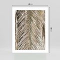 Plakat bez ramy 40x50 - Boho Urok Palmy: Zbliżenie Natury - sucha palma, zbliżenie