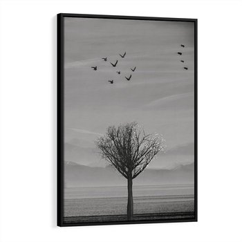 Obraz w ramie 50x70 - Samotne Drzewo - samotne drzewo w polu, czarno białe zdjęcie - rama czarna