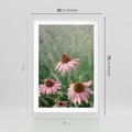 Plakat w ramie 50x70 - Natura w Pełnym Blasku - kwiaty na łące, różowe kwiaty polne - rama biała