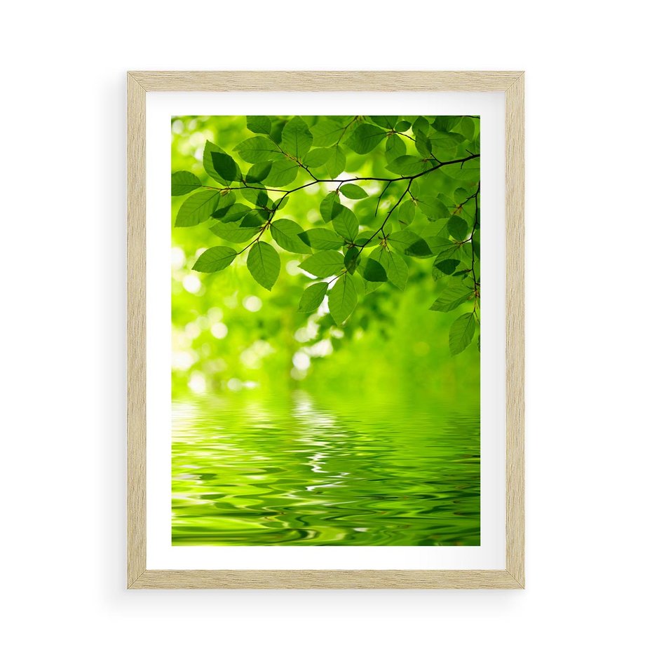 Plakat w ramie 50x70 - Liście w Wodzie - liście, woda - rama drewno