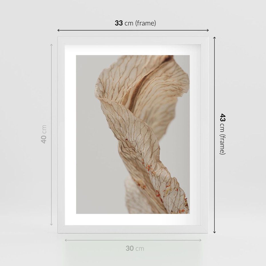 Plakat w ramie 30x40 - Suszone piękno - susz, suche - rama biała
