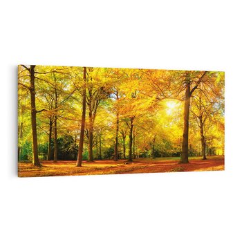 Obraz na płótnie 120x60 - Urok jesiennego lasu - las, drzewa