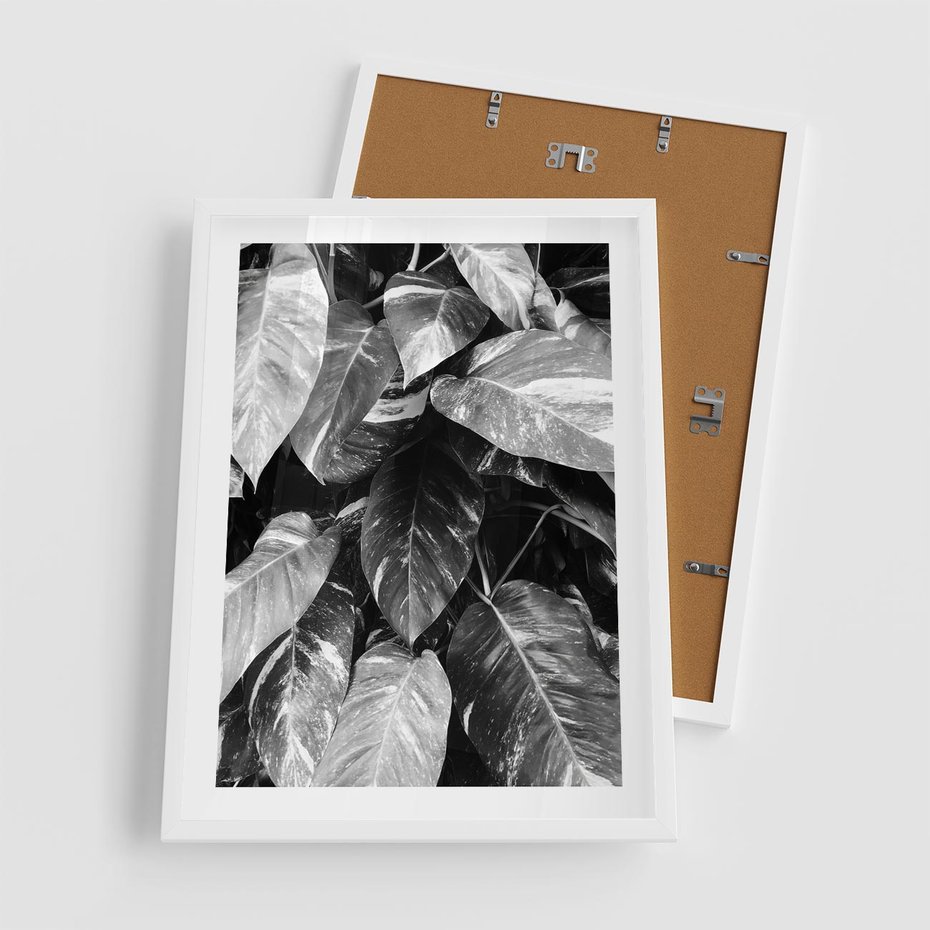 Plakat w ramie 50x70 - Liście w Czarno-Białej Fotografii - liście, roślina - rama biała