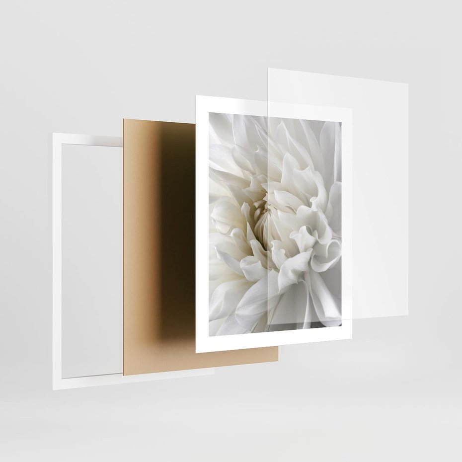 Plakat w ramie 40x50 - Białe Kwiaty Delikatności - białe, kwiaty - rama biała