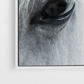 Obraz w ramie 50x50 - Oko Mocy - czarno białe zdjęcie, zbliżenie makro na oko konia - rama biała