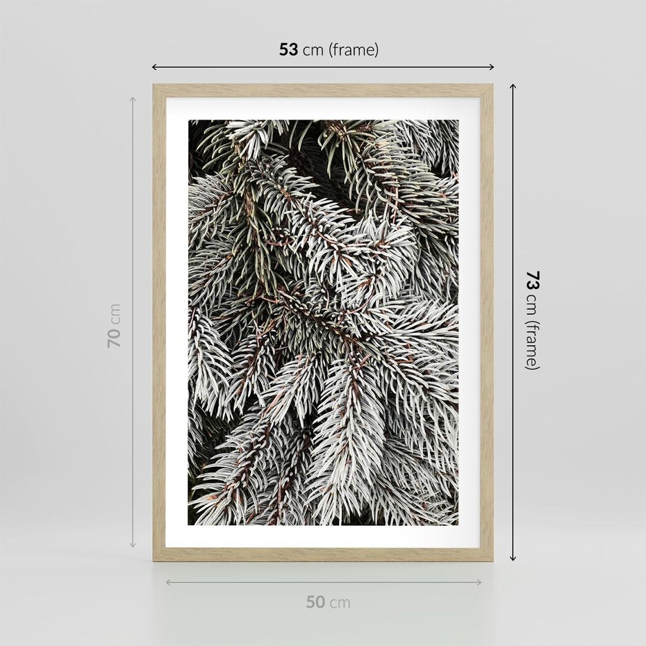 Plakat w ramie 50x70 - Cisza Zimowej Natury - zima, iglaste gałązki - rama drewno