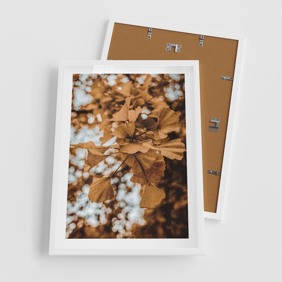 Plakat w ramie 50x70 - Nostalgiczny Miłorząb - miłorząb, liście - rama biała