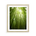 Plakat w ramie 40x50 - Siła Natury - drzewa, las - rama drewno