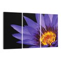 Obraz na płótnie 120x80 - Kwiatowa harmonia: Piękno natury - kwiat, kwiaty